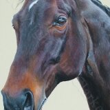 John Clarke Horse Portrait detail 