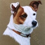 John Clarke Dog Portrait 